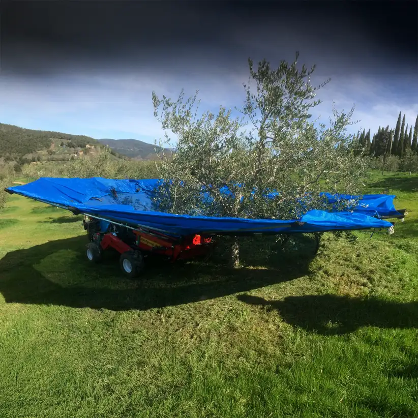Ombrello raccolta Olive Olivspeed 4x4 - immagine 5
