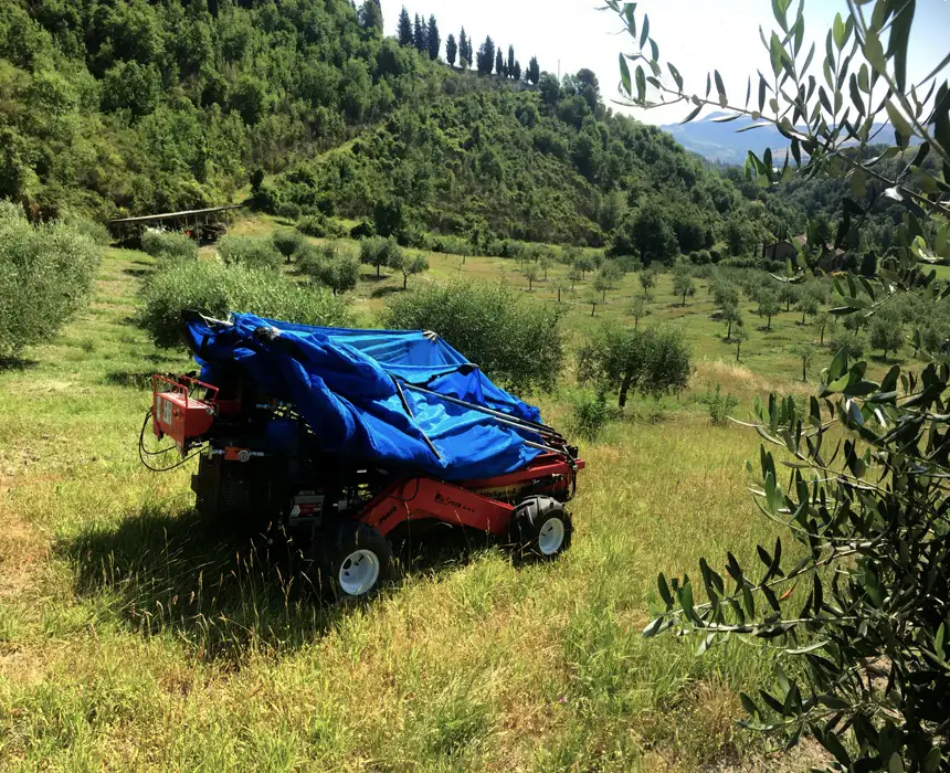 Ombrello raccolta Olive Olivspeed 4x4 - immagine 4