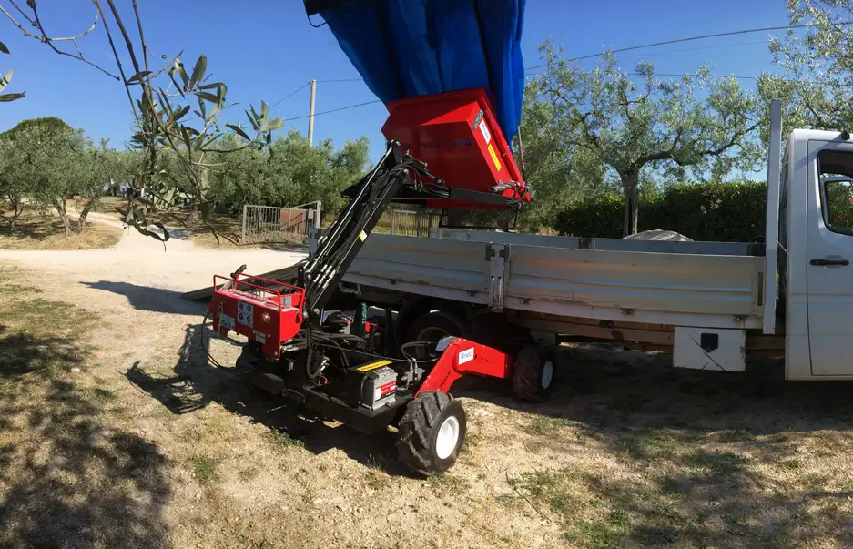 Ombrello raccolta Olive Olivspeed 4x4 - immagine 3